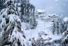 Lose yourself in the scenic beauty, and succumb to the tranquility, come to Shimla!