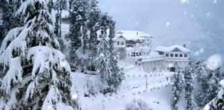 Lose yourself in the scenic beauty, and succumb to the tranquility, come to Shimla!