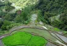 God’s Own Creation: Banaue Rice Terraces