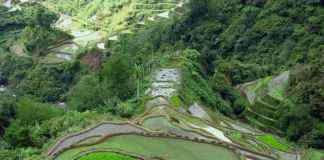 God’s Own Creation: Banaue Rice Terraces