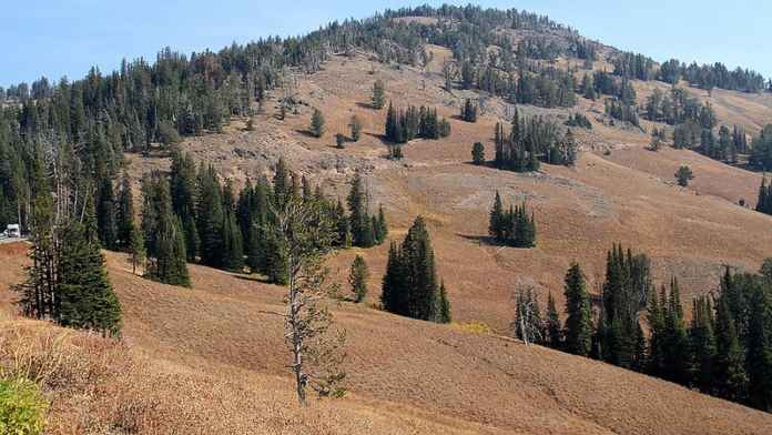 Yellowstone National Park: World's First National Park