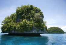 Underwater Expedition At Palau