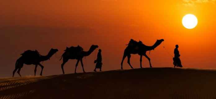 Thar Desert