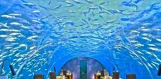 Underwater-Restaurant-Maldives