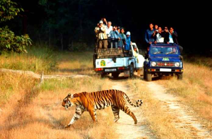 Jim Corbett National park