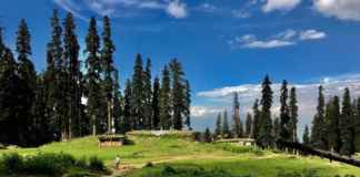 5 Best things to do in Gulmarg