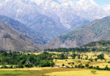 Best things to do in Palampur