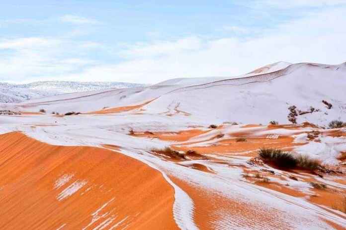 Sahara desert snow